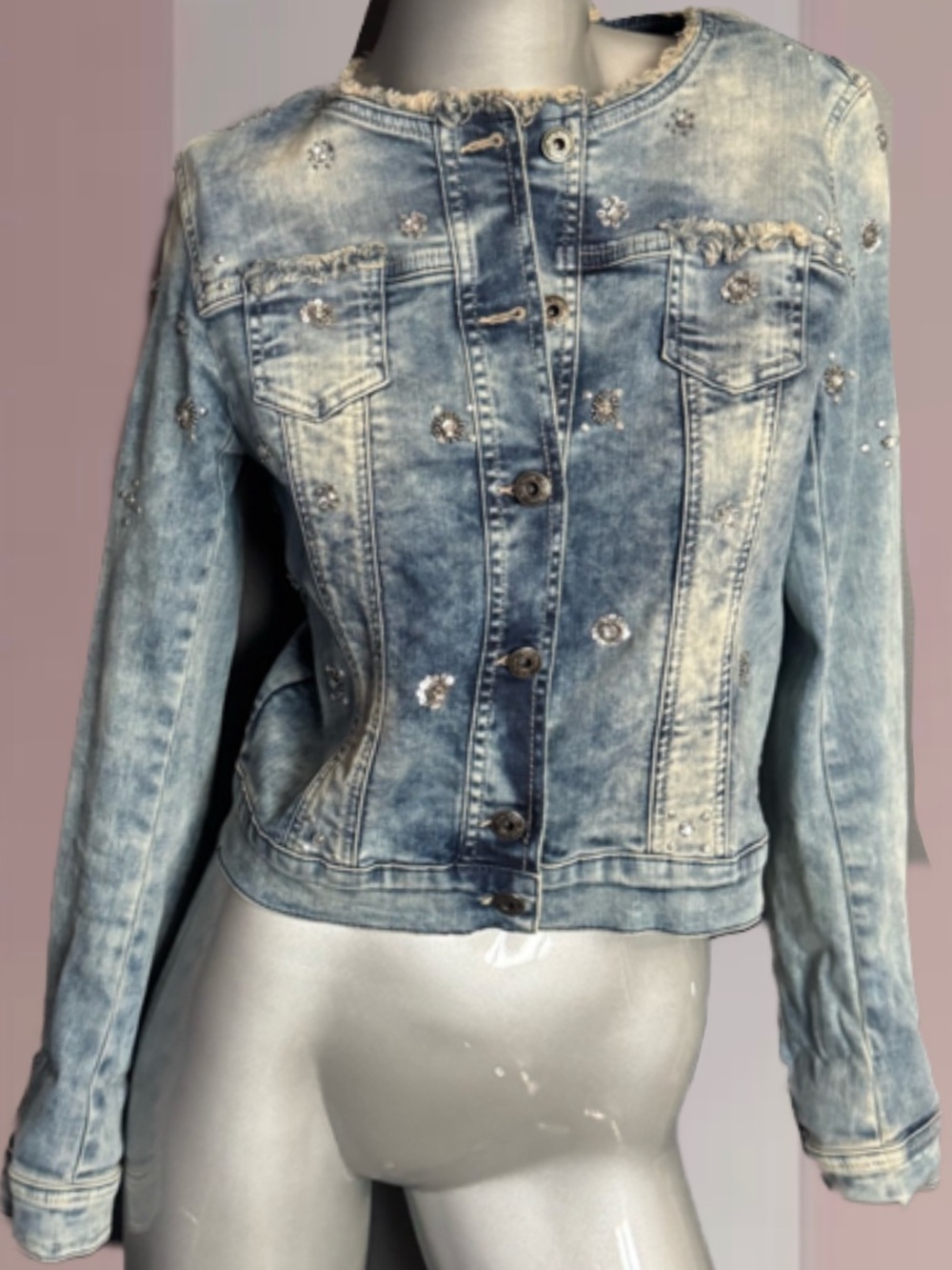 Marc Aurel Denim Embellished Distressed Jean Jacket